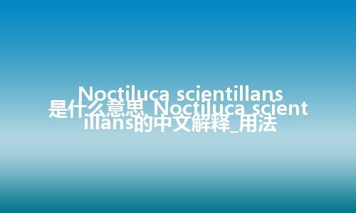 Noctiluca scientillans是什么意思_Noctiluca scientillans的中文解释_用法