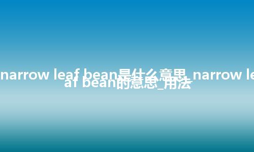 narrow leaf bean是什么意思_narrow leaf bean的意思_用法