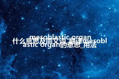 mesoblastic organ什么意思及同义词_翻译mesoblastic organ的意思_用法