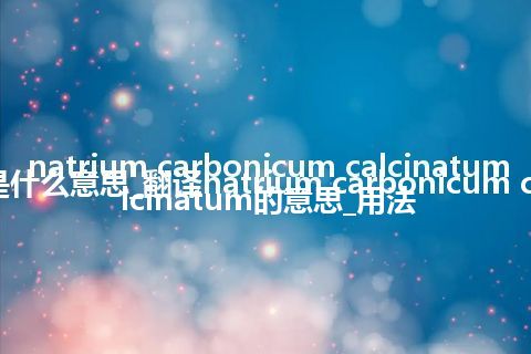 natrium carbonicum calcinatum是什么意思_翻译natrium carbonicum calcinatum的意思_用法