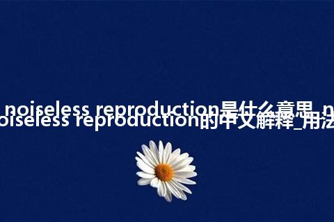 noiseless reproduction是什么意思_noiseless reproduction的中文解释_用法