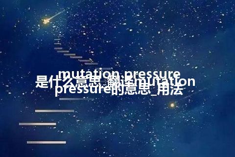 mutation pressure是什么意思_翻译mutation pressure的意思_用法