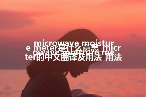 microwave moisture meter是什么意思_microwave moisture meter的中文翻译及用法_用法