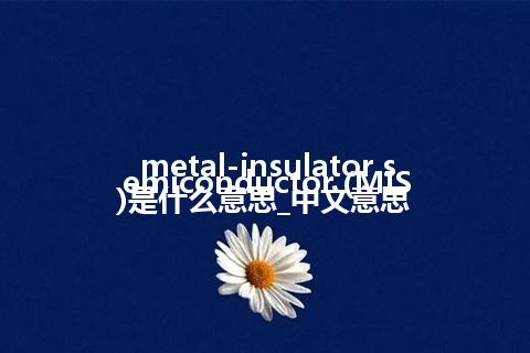 metal-insulator semiconductor (MIS)是什么意思_中文意思