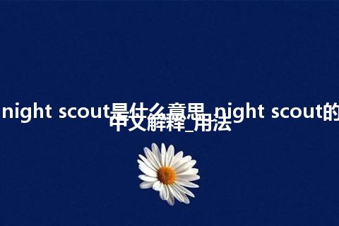 night scout是什么意思_night scout的中文解释_用法