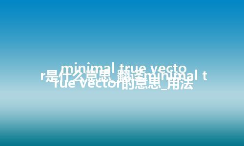 minimal true vector是什么意思_翻译minimal true vector的意思_用法
