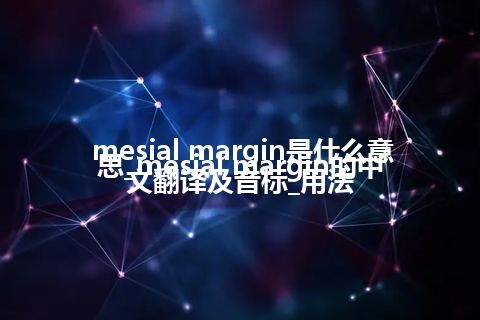 mesial margin是什么意思_mesial margin的中文翻译及音标_用法