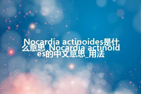 Nocardia actinoides是什么意思_Nocardia actinoides的中文意思_用法