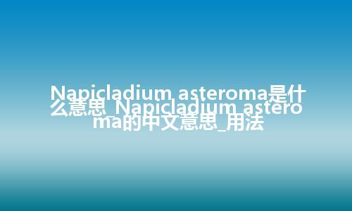 Napicladium asteroma是什么意思_Napicladium asteroma的中文意思_用法