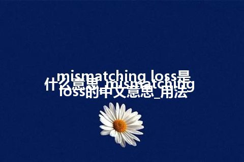 mismatching loss是什么意思_mismatching loss的中文意思_用法
