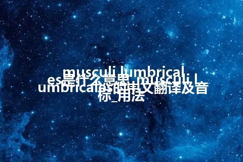 musculi lumbricales是什么意思_musculi lumbricales的中文翻译及音标_用法