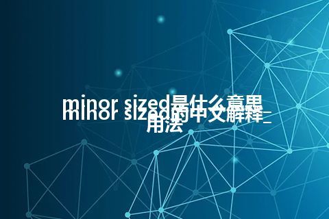 minor sized是什么意思_minor sized的中文解释_用法