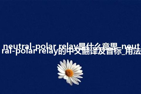neutral-polar relay是什么意思_neutral-polar relay的中文翻译及音标_用法