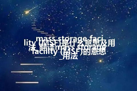 mass storage facility (MSF)是什么意思及用法_翻译mass storage facility (MSF)的意思_用法