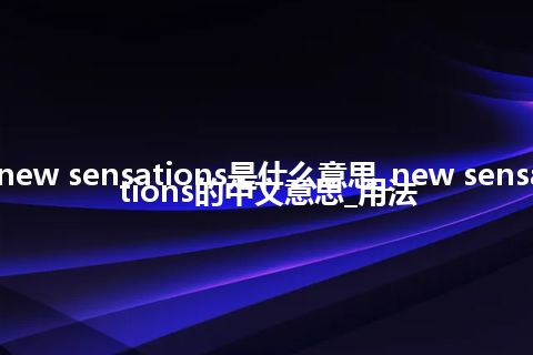 new sensations是什么意思_new sensations的中文意思_用法