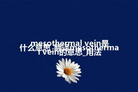 mesothermal vein是什么意思_翻译mesothermal vein的意思_用法