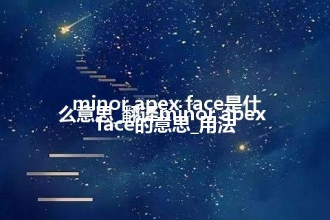minor apex face是什么意思_翻译minor apex face的意思_用法
