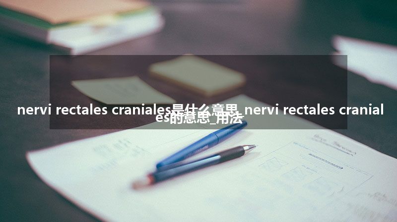 nervi rectales craniales是什么意思_nervi rectales craniales的意思_用法