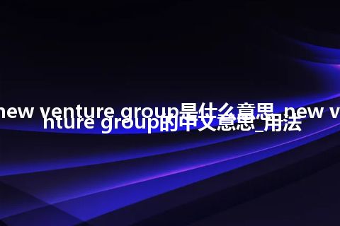 new venture group是什么意思_new venture group的中文意思_用法