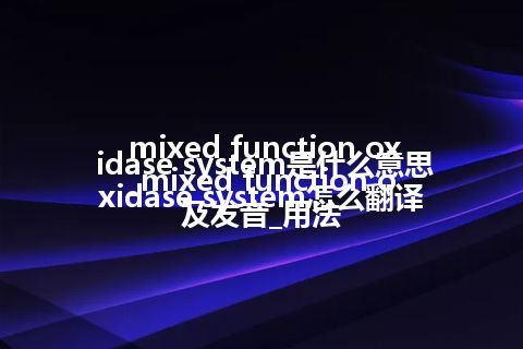 mixed function oxidase system是什么意思_mixed function oxidase system怎么翻译及发音_用法