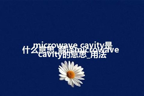 microwave cavity是什么意思_翻译microwave cavity的意思_用法