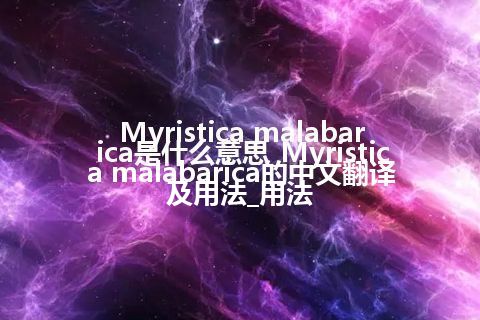 Myristica malabarica是什么意思_Myristica malabarica的中文翻译及用法_用法