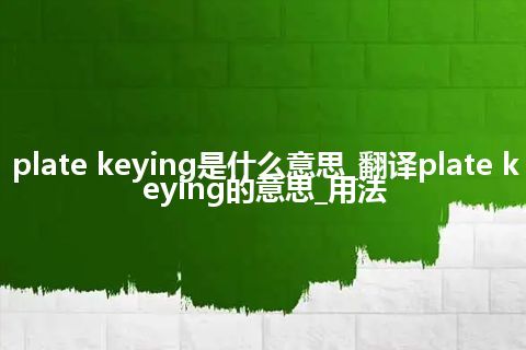 plate keying是什么意思_翻译plate keying的意思_用法