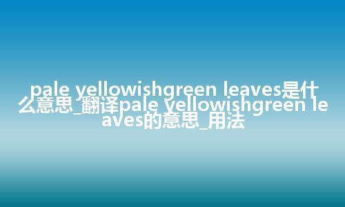 pale yellowishgreen leaves是什么意思_翻译pale yellowishgreen leaves的意思_用法