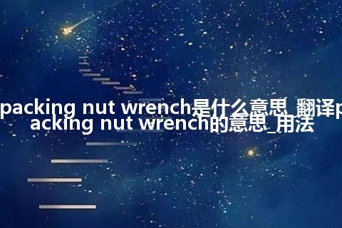 packing nut wrench是什么意思_翻译packing nut wrench的意思_用法