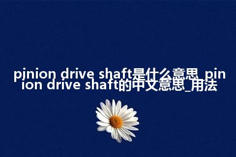 pinion drive shaft是什么意思_pinion drive shaft的中文意思_用法