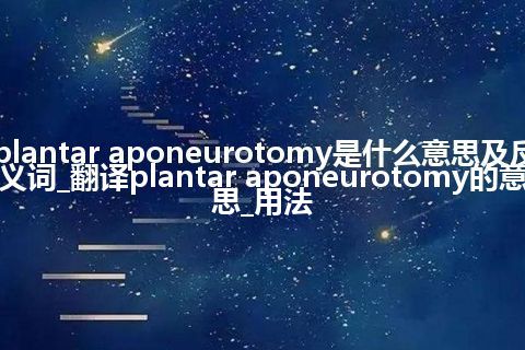 plantar aponeurotomy是什么意思及反义词_翻译plantar aponeurotomy的意思_用法