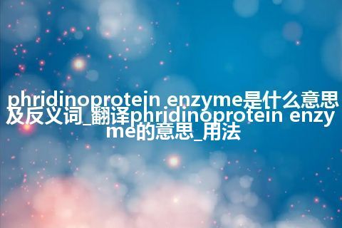 phridinoprotein enzyme是什么意思及反义词_翻译phridinoprotein enzyme的意思_用法