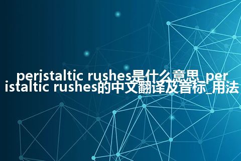 peristaltic rushes是什么意思_peristaltic rushes的中文翻译及音标_用法