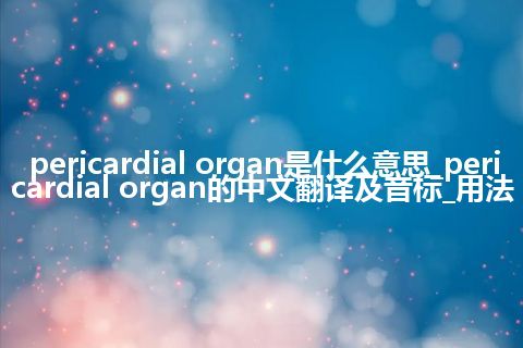 pericardial organ是什么意思_pericardial organ的中文翻译及音标_用法