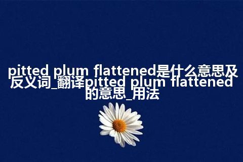 pitted plum flattened是什么意思及反义词_翻译pitted plum flattened的意思_用法