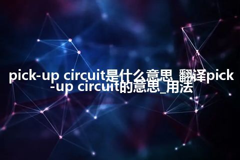 pick-up circuit是什么意思_翻译pick-up circuit的意思_用法