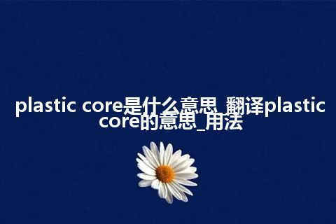 plastic core是什么意思_翻译plastic core的意思_用法