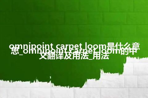 omnipoint carpet loom是什么意思_omnipoint carpet loom的中文翻译及用法_用法