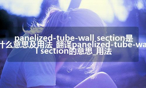 panelized-tube-wall section是什么意思及用法_翻译panelized-tube-wall section的意思_用法