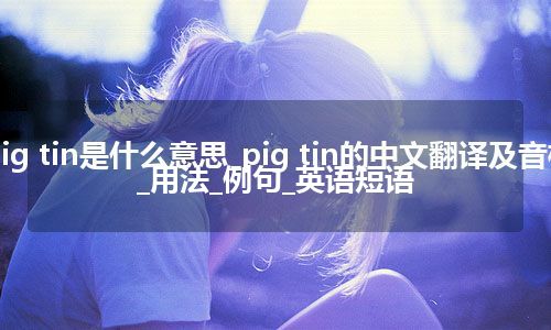 pig tin是什么意思_pig tin的中文翻译及音标_用法_例句_英语短语