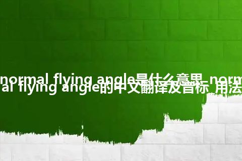 normal flying angle是什么意思_normal flying angle的中文翻译及音标_用法