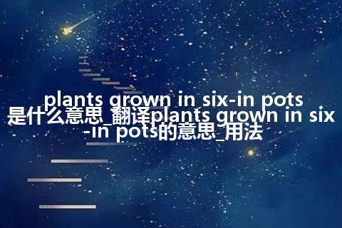 plants grown in six-in pots是什么意思_翻译plants grown in six-in pots的意思_用法