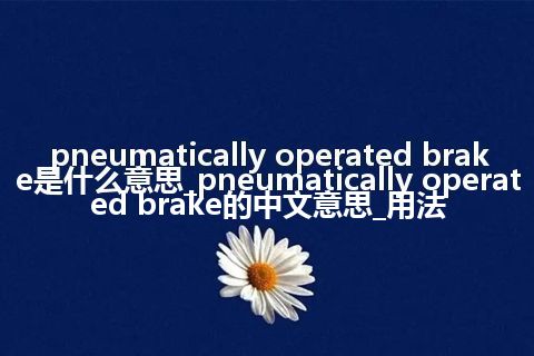 pneumatically operated brake是什么意思_pneumatically operated brake的中文意思_用法