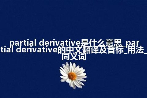 partial derivative是什么意思_partial derivative的中文翻译及音标_用法_同义词
