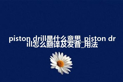 piston drill是什么意思_piston drill怎么翻译及发音_用法
