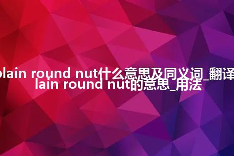 plain round nut什么意思及同义词_翻译plain round nut的意思_用法