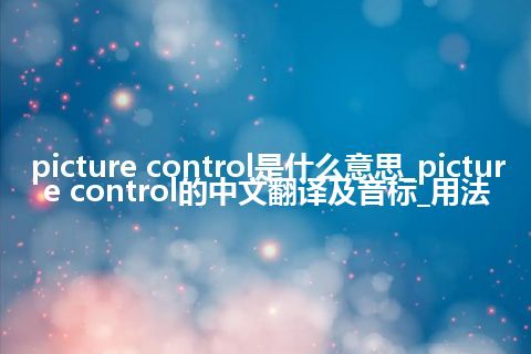 picture control是什么意思_picture control的中文翻译及音标_用法