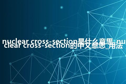 nuclear cross-section是什么意思_nuclear cross-section的中文意思_用法