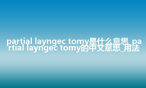 partial layngec tomy是什么意思_partial layngec tomy的中文意思_用法