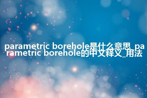 parametric borehole是什么意思_parametric borehole的中文释义_用法